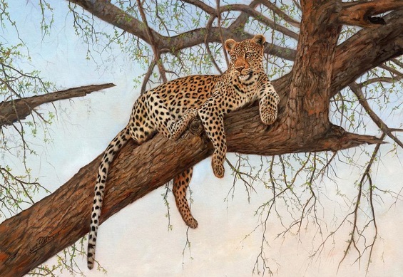leopardo-curiosidades