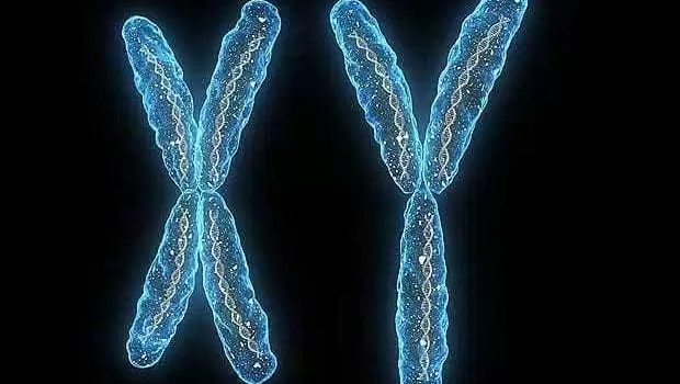 cromossomos-homologos-autossomos