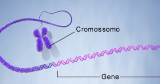 genes-definição-resumo
