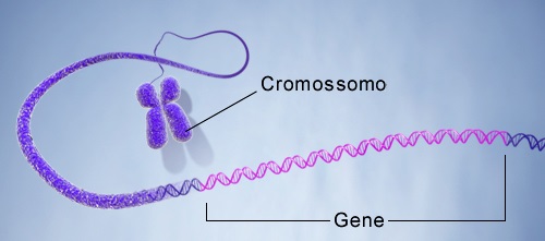genes-definição-resumo