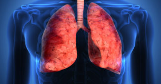 respiração-pulmonar-humana